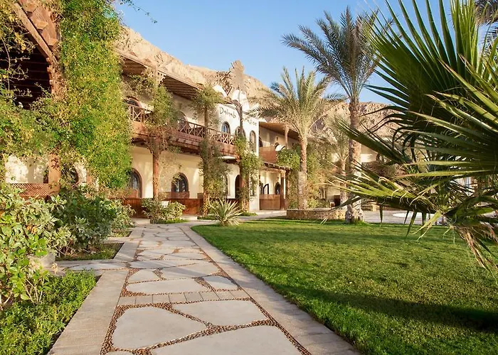 Paradise 3* Dahab
