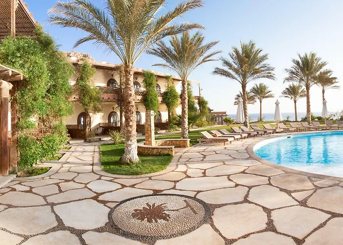 Paradise 3*
