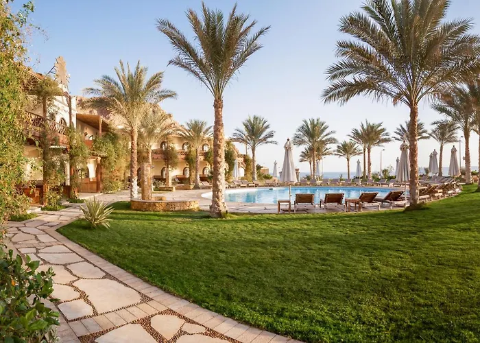 Paradise 3* Dahab